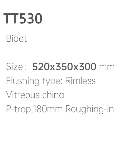 TT530 Bidet & Accessory thumbnail 2
