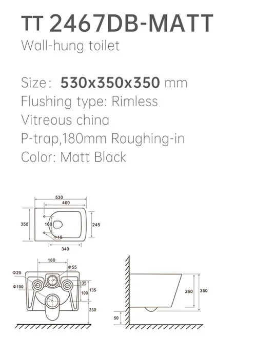 TT2467DB-MATT WC suspendu thumbnail 2