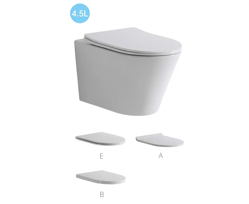 TT506C Wand-WC