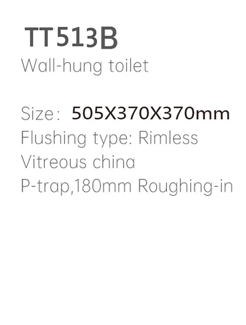TT513B Wand-WC thumbnail 2