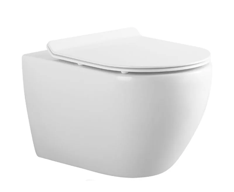 TT546 Wand-WC
