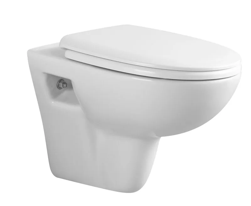 TT820 Wand-WC