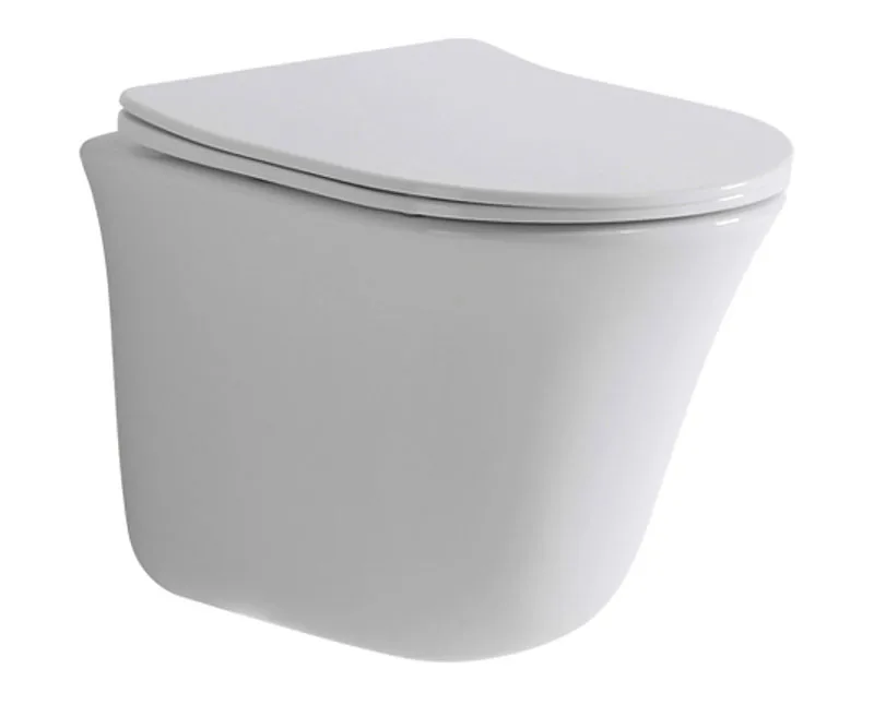 TT841 مرحاض معلق