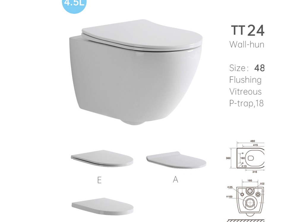 TT2418D مرحاض معلق